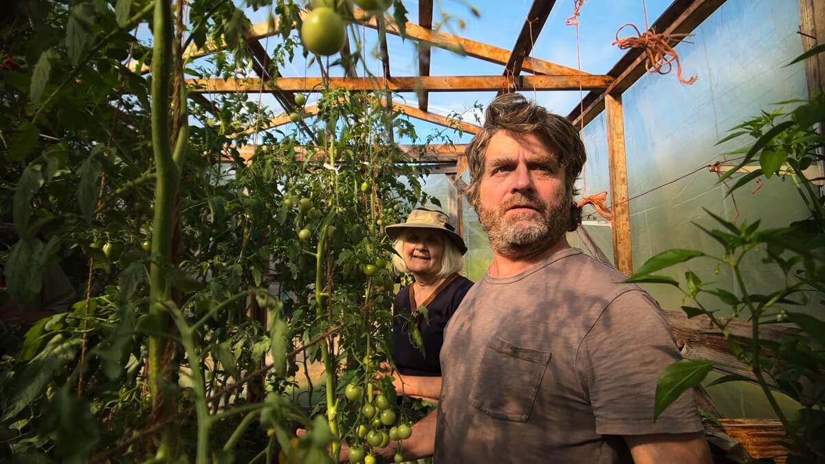 Zach Galifianakis Surprises Fans With Wild New Netflix Gardening Series Zach Galifianakis in Netflix gardening series surprising fans with a wild new look